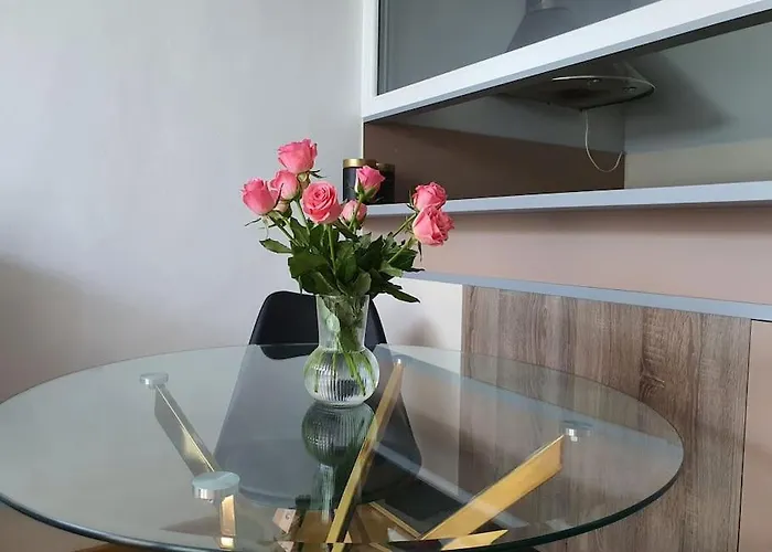 Chlodna Cozy Apartment