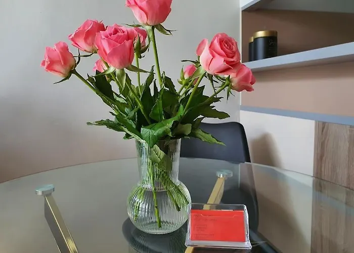 Chlodna Cozy Apartment *